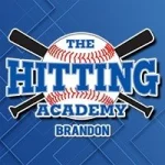 Account avatar for The Hitting Academy Brandon
